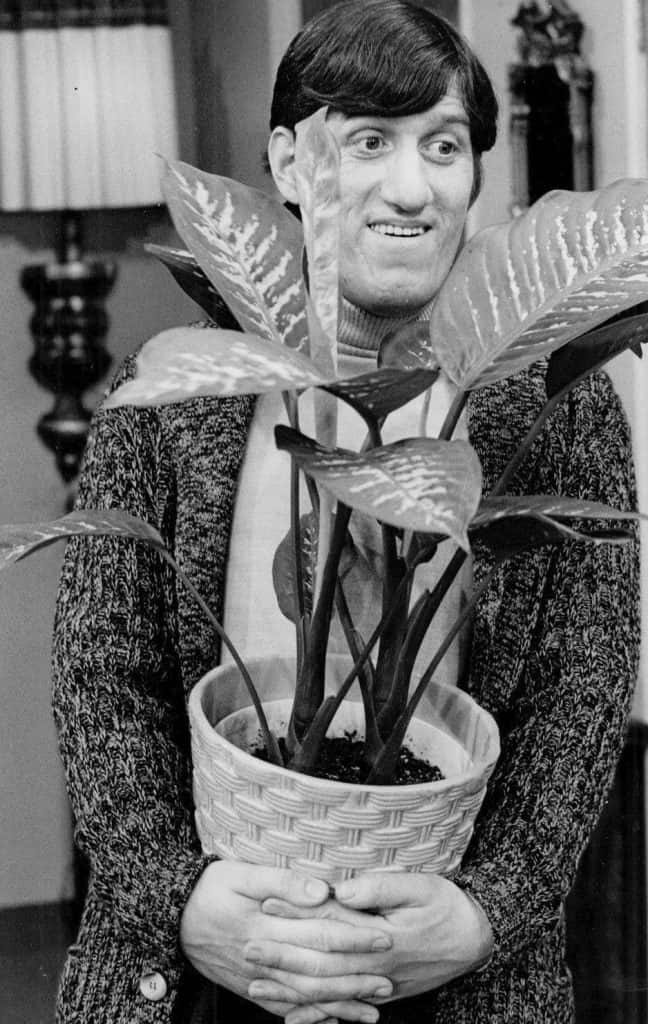 Paul Benedict in character as Harry Bentley, the Jeffersons' neighbor, from "The Jeffersons." He's dressed in a cardigan and holding a potted plant, looking out through the leaves. He has a very large chin and a very pleasant expression.